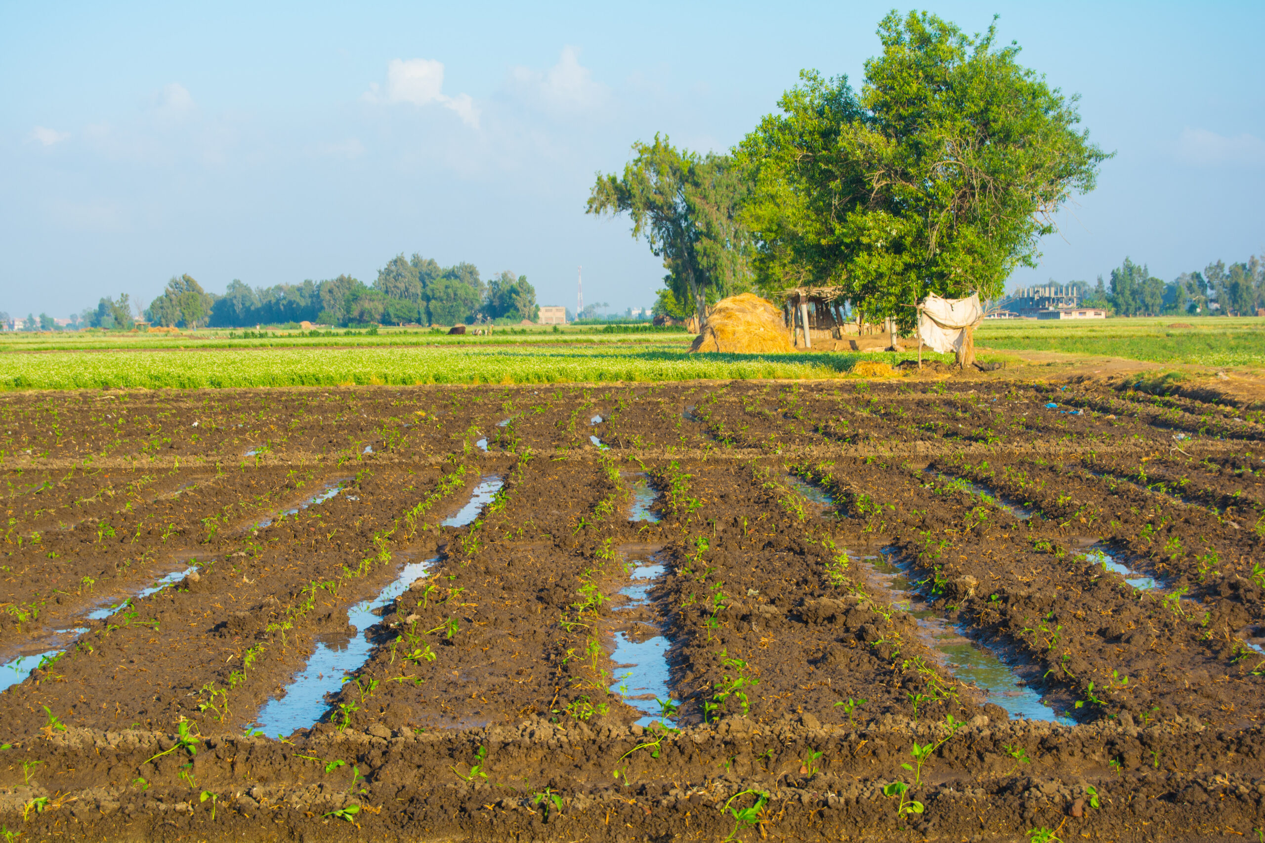 Practical Information